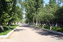 Описание изображения